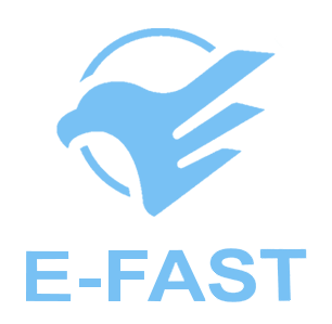 WHY CHOOSE E-FAST